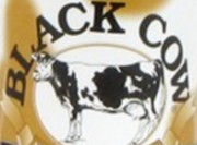 Druthers Black Cow Vanilla Creme Rootbeer Review