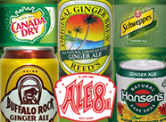 Ginger Ale Blind Tasting (Soda Tasting #147)