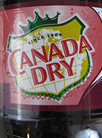 Canada Dry Black Cherry Wishniak