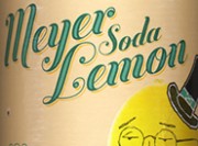 Meyer Lemon Soda Review