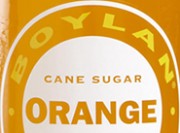 Boylan Orange Review